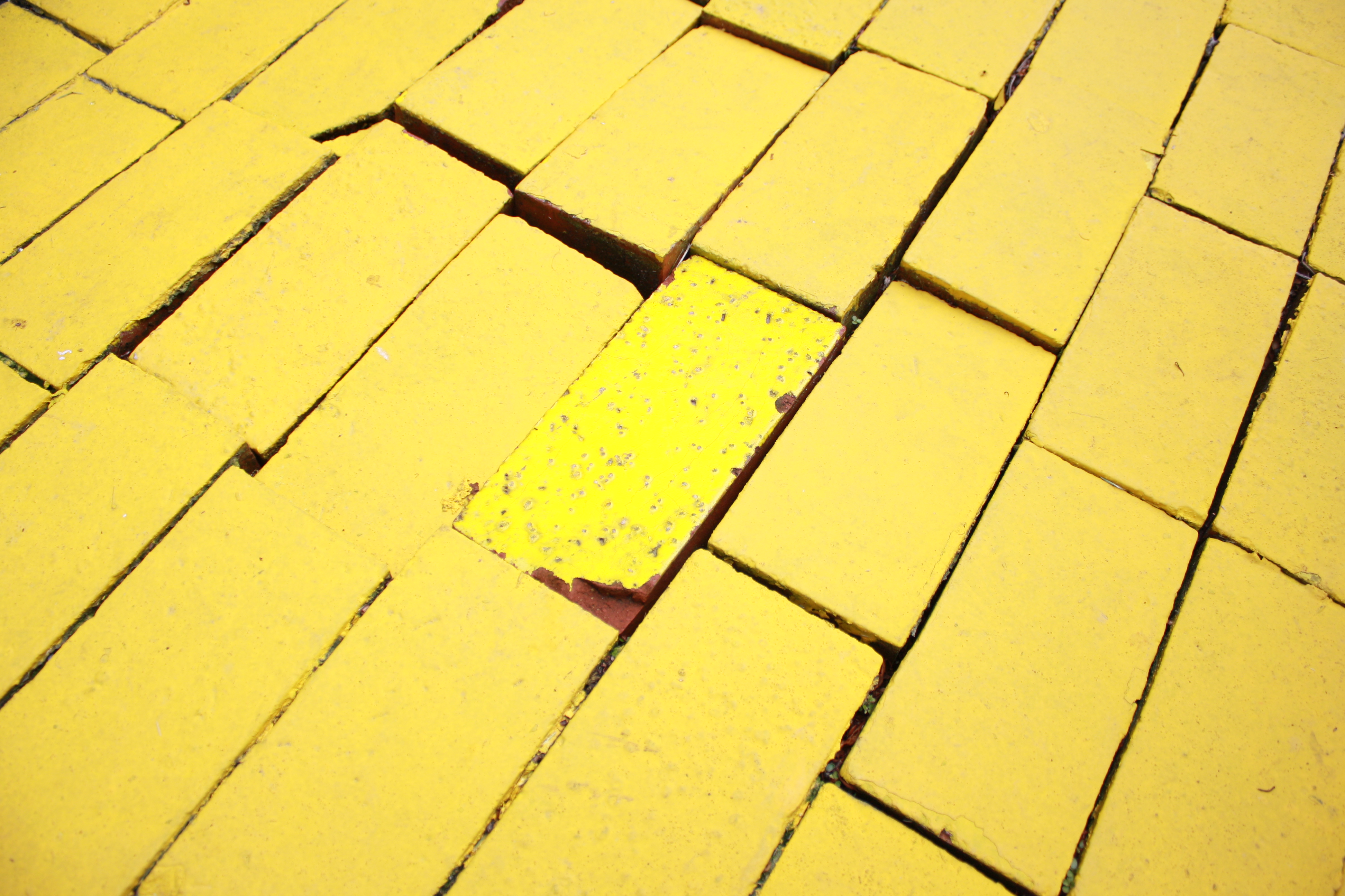 0B584AA3-BC0B-494E-80C1-D90F67C71645